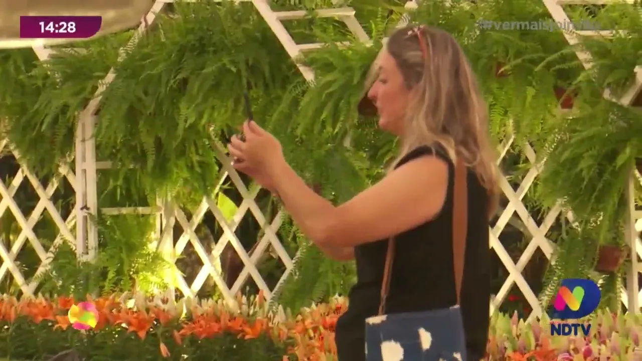 Uma festa de cores e encantamento: 82ª edição da Festa das Flores reuniu 80 mil visitantes