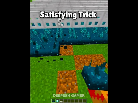 Minecraft Satisfying Trick...😉 (Payphone)