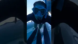 How we get food living on a sail boat #boatlife #sailingfamily #shorts