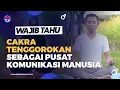 Download Lagu Mengenal Cakra Tenggorokan, Sebagai Pusat Komunikasi Manusia