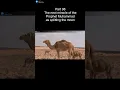 Download Lagu Part 98 The next miracle of the Prophet Muhammad was splitting the moon #muhammadﷺ #islamicprophet