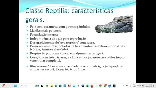 Répteis