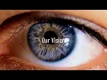 Vision In Driving Central Fringe or Focal Vision