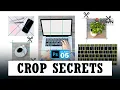 Precision Crafting Mastering Photoshop Image Cropping Techniques Class 05 -