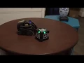 Vector - Amazing Feats Cube Tricks