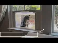 VistaCatio - Window Box Catio
