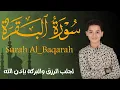 Download Lagu سورة البقرة كاملة || لطرد الشياطين وتحصين المنزل || الطفل القارئ عبدالله شعبان ||  Surat Al Baqarah
