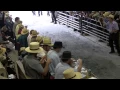 Mel s Stables Horse Auction New Holland Pa