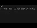 Making TLS 1 0 request example