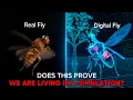 Scientists Put a Fruit Fly s Brain in a Computer Simulation What It Did Is Now Scaring Scientists