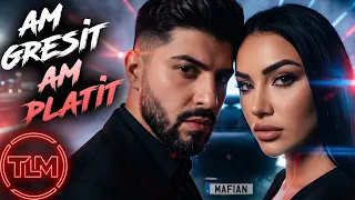 Descarcă Am Gresit X Am Platit - Mafian Si Sonia (Mix Hituri) MP3 gratuit - Muzica123