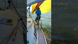 #sailing #fun #water #texas #shorts