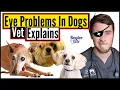 Top 10 Most Common Eye Conditions In Dogs How To Treat Eye Infections In Dogs Vet Explains