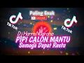 Download Lagu VIRALL TIKTOK! DJ PIPIPI CALON MANTU SEMOGA DAPAT RESTU - ( HarrisNugraha ) New Remix!!!