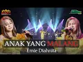 Download Lagu ANAK YANG MALANG - ERNIE DIAHNITA // RADJA SIDOARJO MUSIC