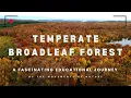 TEMPERATE BROADLEAF FOREST BIOME