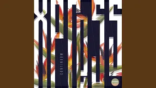 xpress forteba remix 