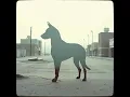 Download Lagu Virus dog