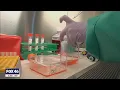 Answers wanted from LabCorp on data dump