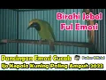 Download Lagu PANCINGAN EMOSI CUCAK IJO KEPALA KUNING PALING AMPUH 2022