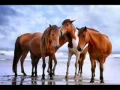 Download Lagu Polyushka Polye - Rus Halk Şarkısı