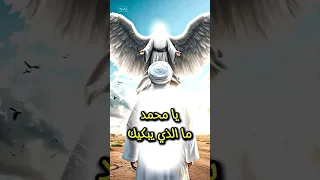 هل تعلم ما الذي ابكى سيدناء محمد ﷺ ستبكي عندما تعرف سبب ذالك قصص دينيه قصص الانبياء الإسلام قصص 