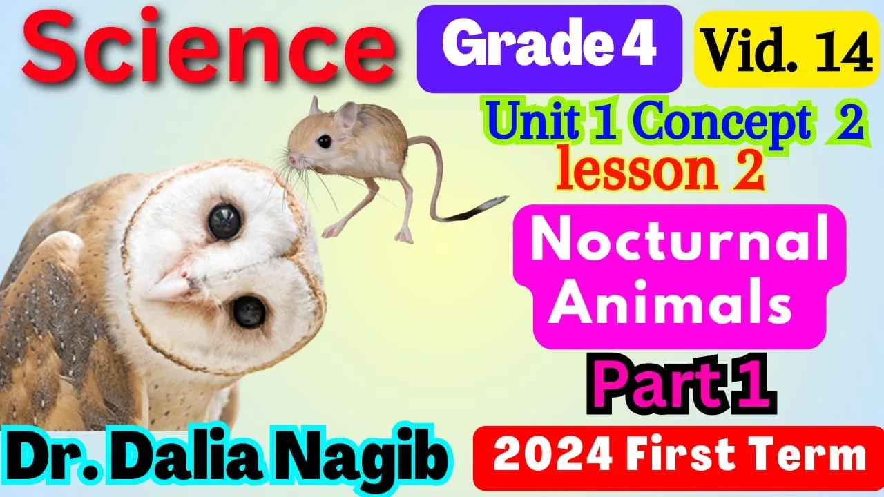 ساينس رابعه ابتدائي ترم اول  - Science  Grade 4  Nocturnal Animals Concept 2 Lesson 2 Part 1