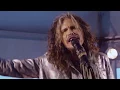 Steven Tyler - Cryin' (Acoustic)