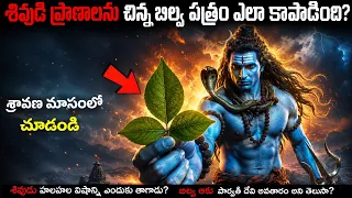 శివుడికి బిల్వ పత్రం అంటే ఎందుకు అంత ఇష్టమో తెలుసా? 😱 | Sravanamasam Special Story