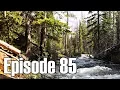 More Morels and Spring Boletes - Episode 85