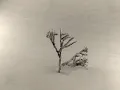 Scripting a Tree using recursion method with MAXscript
