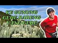 Download Lagu NANJAK KE GUNUNG GEDE BARENG YANG GEDE