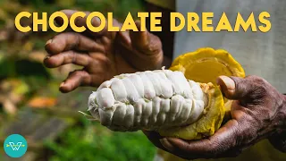 Chocolate Dreams – A Willy Wonka Jungle