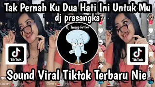 dj tak pernah ku dua hati ini untuk mu dj prasangka sound viral tiktok yang kalian cari nie