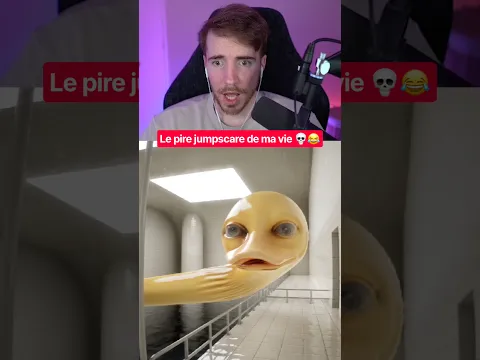 LE PIRE JUMPSCARE DE MA VIE 💀😂