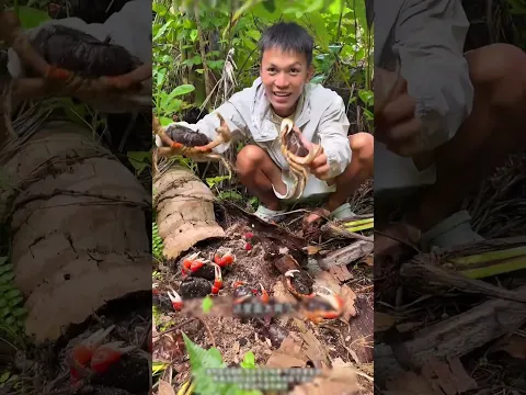 I found wild crabs and wild birds in the jungle #shorts #youtubeshorts