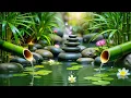 Download Lagu Bamboo Forest Healing 🌿 Gentle Water Drops \u0026 Birds for Deep Relaxation