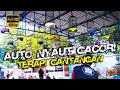 Download Lagu LOVEBIRD BAKAL NYAUT DENGAR VIDEO INI | Simulasi Lomba LB Fighter Digantangan