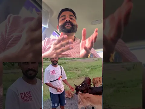 ਕੀ ਕਸੂਰ ਸੀ ਇਹਨਾਂ ਜਾਨਵਰਾਂ ਦਾ 🙏 #animallovers