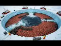 Lagu Deadliest Catch: Why Fishermen Risk Their Lives for Alaska’s $5 Billion King Crab?