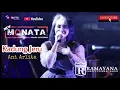 Download Lagu Kadung Jeru - Ani Arlita New Monata Ramayana Audio