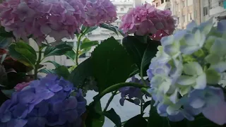 قل للعيون إذا تساقط دمعها الله اكبر من لظى الأحزان 