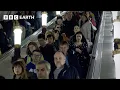 Download Lagu Inside Moscow's Metro Where History and Speed Collide | BBC Earth Explore