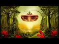 TUL8TE - Shedeeny - No Music | تووليت - شديني - بدون موسيقى 