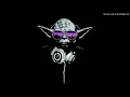 DJ Yoda - Perverted Disturbances