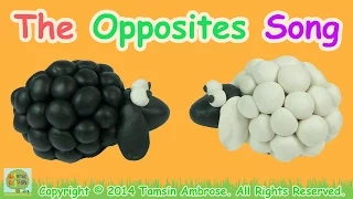 The Opposites Song Antonyms 110 words LEARN ENGLISH Vocabulary