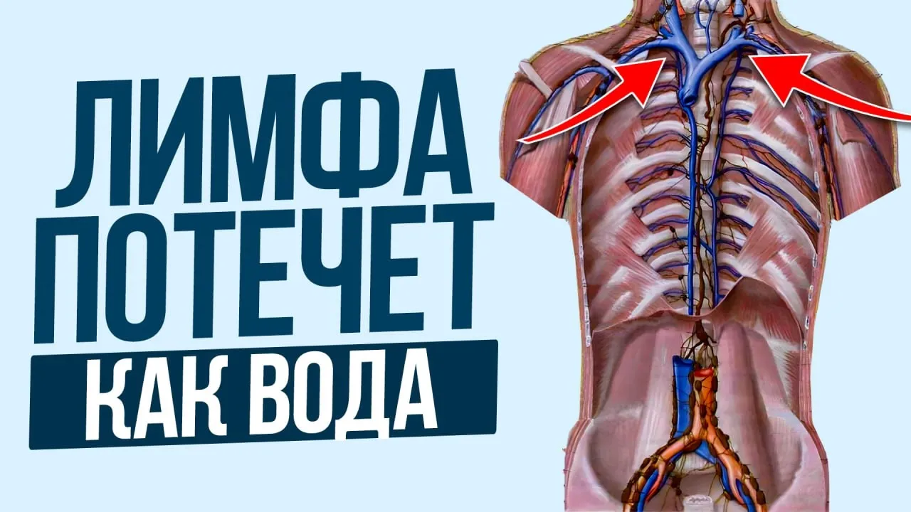 Ты ОТЕКАЕШЬ каждый день из-за ЭТОГО! / Как разогнать лимфу и убрать 5 лишних килограмм?