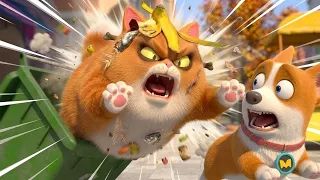 15 Mins of Fat Cat CHAOS! 🙀🌪️ | Flying Moco Full Episodes 🐶 | Funny Cartoon for Kids