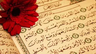 مقطع من سورة الرحمن بصوت القارئ الشيخ اسامة جبر دندنها