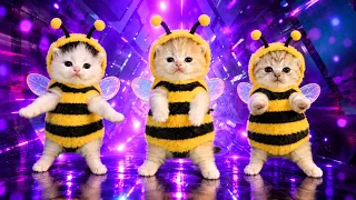 Three Kittens dancing to Sweet Little Bumble Bee (Bemax Remix)